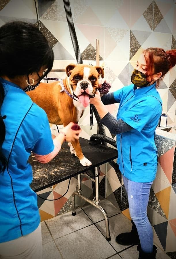 Η Ομάδα μας